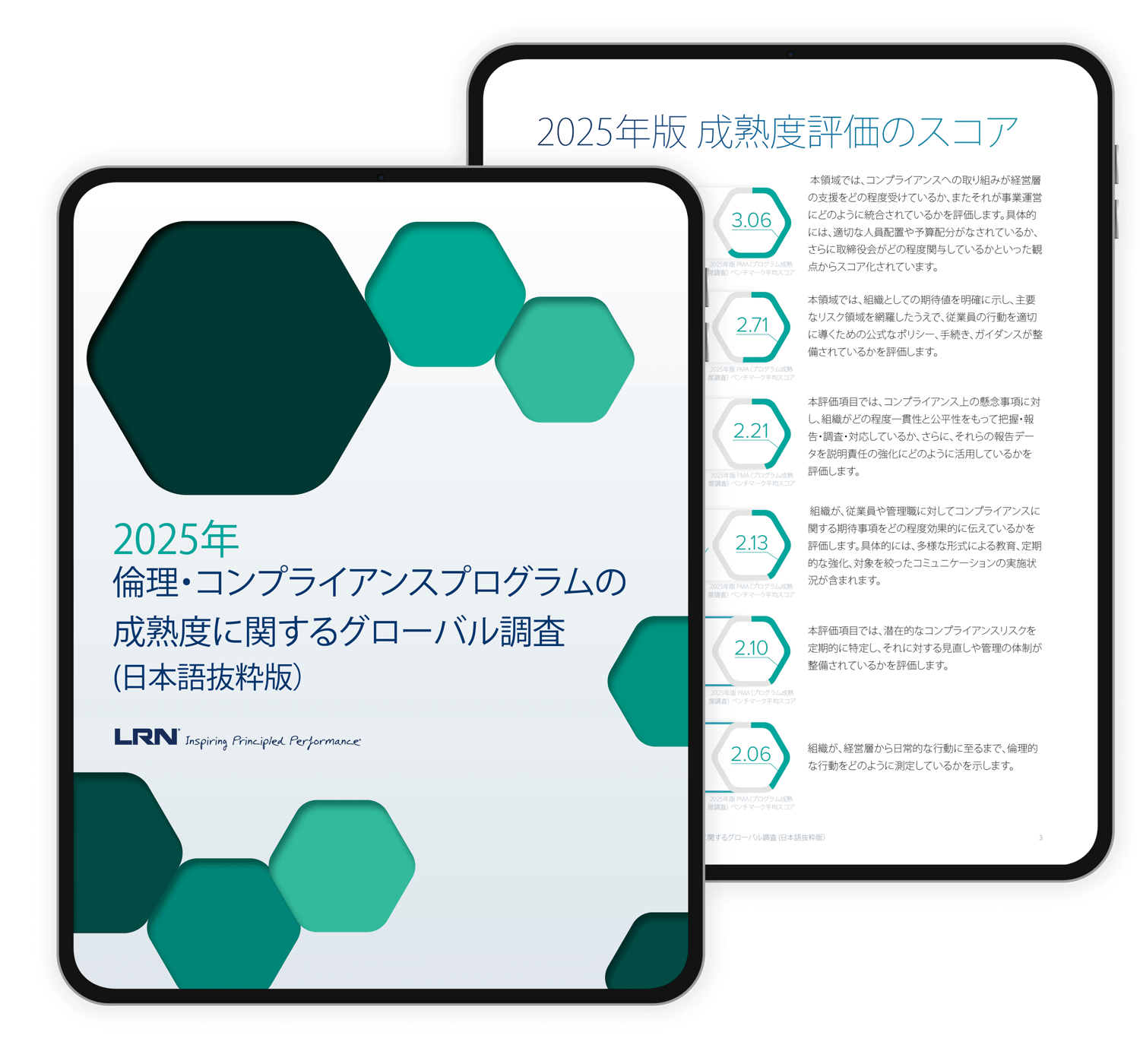 2025 Global Study on E&C Program Maturity tablet 2 JP